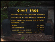 Voluptuous tree centerfold numbers... 363-53-62 .jpg