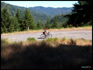 Humboldt west side forest and Panther Gap east side switchback.jpg