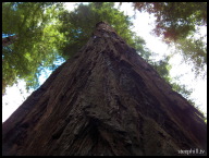 Putting things into perspective.jpg