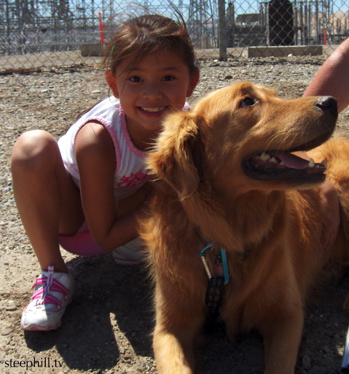 tony reids dog, sam#150a17.jpg