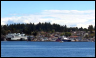 Friday Harbor ferry pulling out.jpg