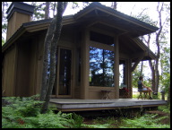Our guest cottage at Friday Harbor.jpg