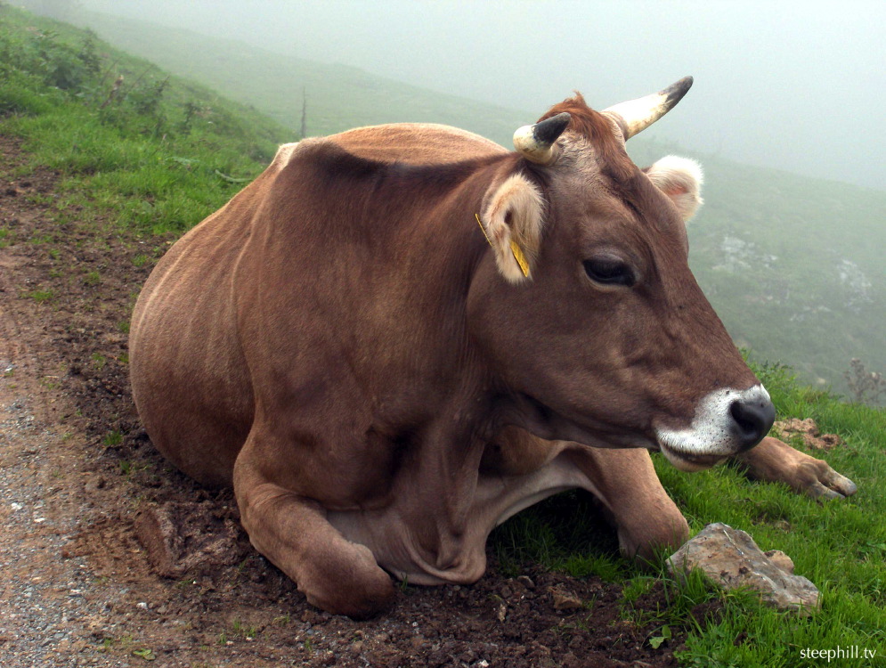 the only flat place #17d72.jpg