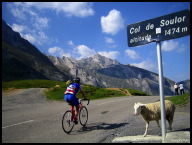 Greeted by sheep at the top of Soulor.jpg