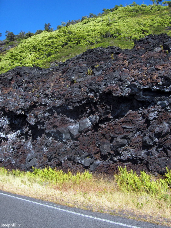 from creation flows #24161.jpg