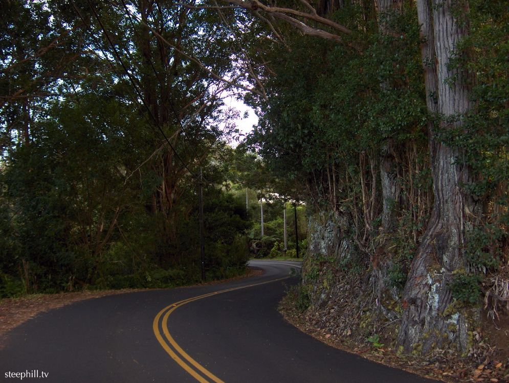 old mamalahoa hwy st#229d3.jpg