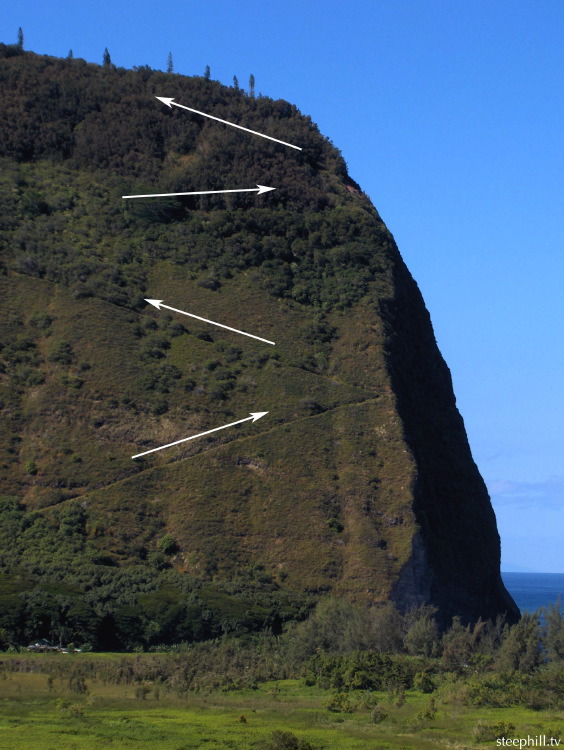 the muliwai hiking t#22e82.jpg