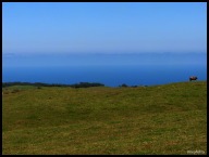 On a clear day, the Pacific Ocean blends with the blue sky.jpg