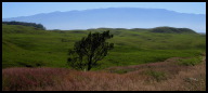 The grass lands leading to the massive Mauna Kea volcano.jpg