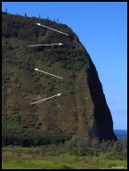 The Muliwai hiking trail switchbacks.jpg