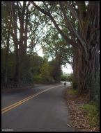 The steady return climb back up Old Mamalahoa Hwy.jpg