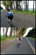 Peeking through the slats of the wind barrier.jpg