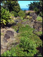 Streaming to a waterfall.jpg